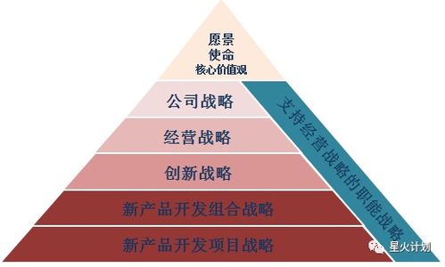 應用軟件開發(fā)的新產(chǎn)品戰(zhàn)略 從構(gòu)思到市場成功